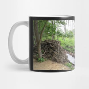 Beaver dam and den Mug